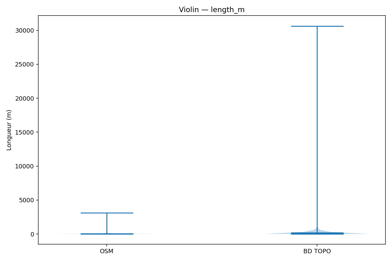 length_m violin